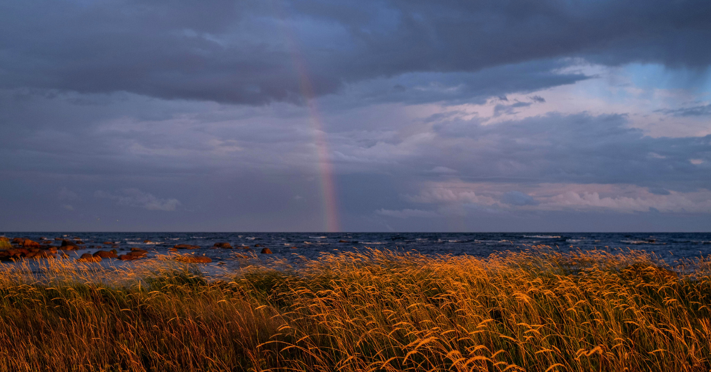Sudden storms and floods accompanied by brutally hot, warming summers, natural disasters