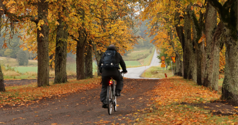 Greener commutes: how sustainable transport can drive Fit for 55 progress this autumn