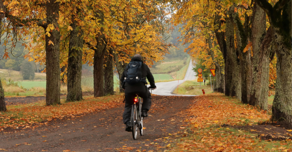 Greener commutes: how sustainable transport can drive Fit for 55 progress this autumn